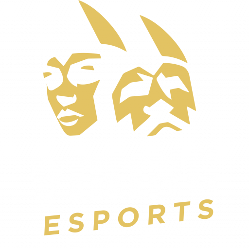 Viking Esports