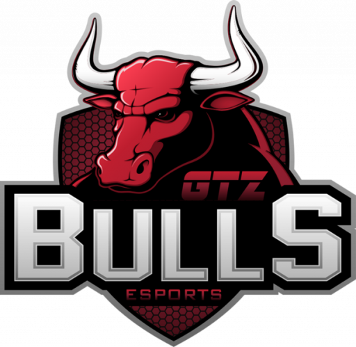 NPLAY GTZ Bulls